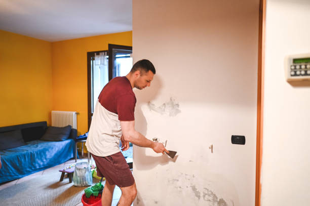Best Mold Removal Specialists  in Frewsburg, NY